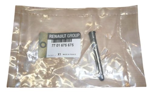 Axe de Charnière de Porte 7701675675 Renault Clio II Megane Original Neuf