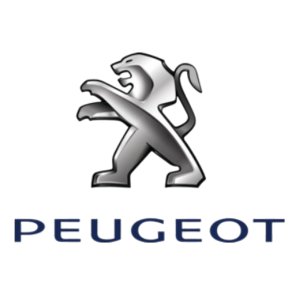 Flexible de Frein 4806.K1 4806K1 Peugeot 5008 Neuf d'Origine