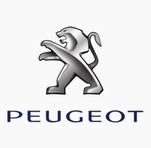 Feu Arrière Gauche 9845616680 Citroën C3 IV Original Neuf