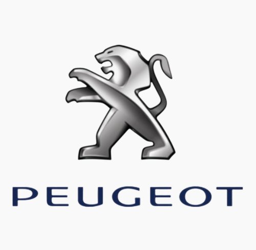 Inserts de Serrure 9170.CX 9170CX Citroën Berlingo II Original Neuf
