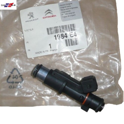 Injection de Carburant 1984E4 Peugeot 407, 607, 807 Neuf Origine