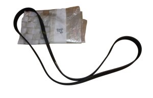 Courroie Trapézoïdale 5750YR Peugeot 206, 206+ 1.1 / 1.4 / 1.6 16V 6PK1613 Neuf Origine