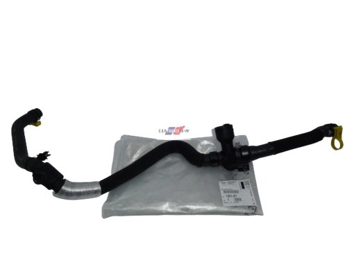 Tuyau Système De Refroidissement 1351KT Citroen Peugeot C5 C6 407 2.7 HDI Nouvelle Original