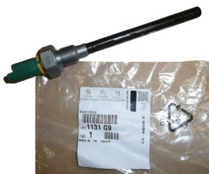 Capteur De Niveau D`Huile 1131G9 Original Citroen Peugeot 2.0 HDI 16v