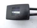 DSC00418.jpg