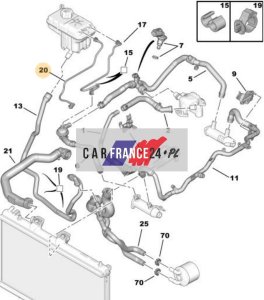 Durite Système De Refroidissement Peugeot Citroën 2.7Hdi 1351LP