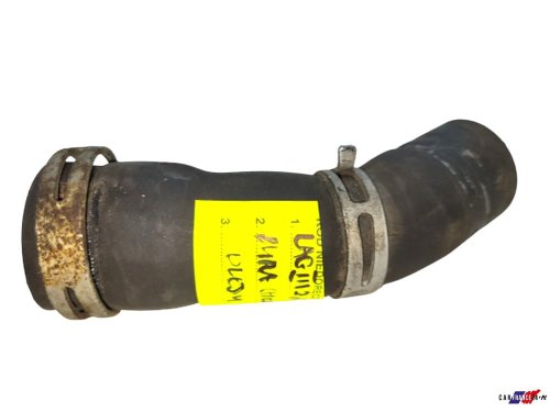 Durite de Refroidissement 8201128904 Renault Laguna 3 Neuf Origine
