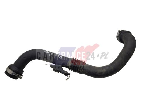 Durite Tube D'Air 8200201617 Renault Megane 1 Scenic 1 Neuf Origine