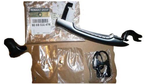 Poignée De Porte Droit Arrière 806B03847R Renault Fluence Original