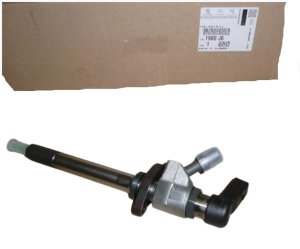 Injection de Carburant 1980J6 Citroen Peugeot C4 C4 2004-2010 Neuf Origine