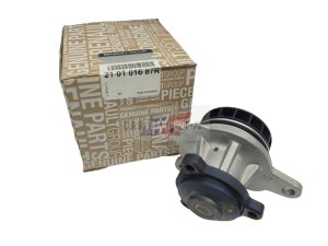 Pompe à Eau Original Renault 2.0Dci 210101687R