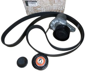 Galet Tendeur De Courroie 117209886R Renault Megane III 1,6 DCI