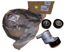 Century Tendeur De Traction 2.0 16V 1611281080 Nouvelle Original Citroen Peugeot 4007