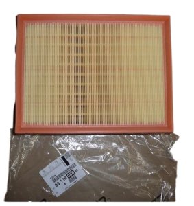 Filtre à Air 1.5 BlueHDI 9813908880 Nouvelle Original Citroen Peugeot C3 III