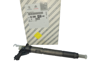 Injection De Combustible  1609848980 Original Citroen Peugeot Fiat