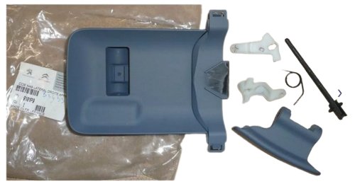 Poignée de porte droite 9101P9 Neuf OE Citroen Peugeot Berlingo II