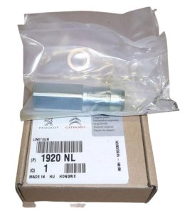 Capteur de pression de carburant 2.2HDI 1920NL Neuf OE Citroen Peugeot Jumper III