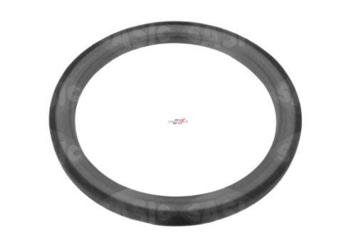 Bague d'étanchéité 1227900Q0D Neuf OE Renault