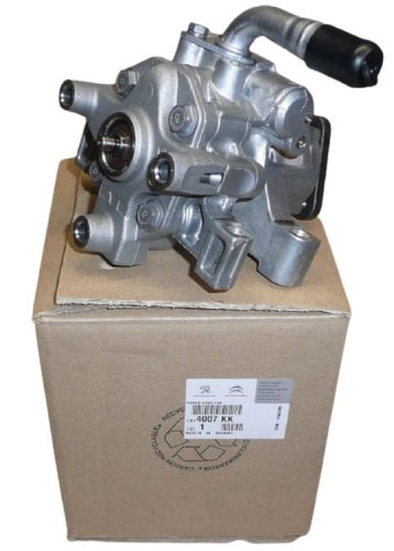 Pompe de Direction Assistée 4007KK Citroen Peugeot Ducato Boxer Jumper Neuf Origine