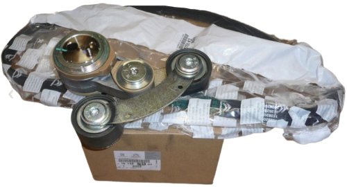 Centure Tendeur De Traction 1611278480 Citroen Peugeot DS5 C5 508 3008 Original 