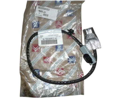 Faisceau De Câblage Pour Moteur Original 1920JJ Peugeot 307 
