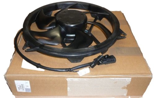 Ventilateur de Radiateur 1253G4 Citroen Peugeot Xsara Picasso Neuf Origine