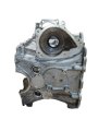 20231121_194730-removebg-preview.jpg