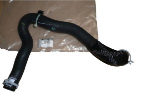 Tuyau De Radiateur Original 215015757R Dacia Logan II 1.0SCE 