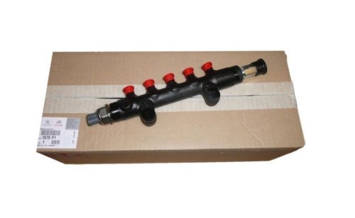 Rampe D'injection 1570P1 Peugeot Citroen  Jumper Boxer Transit 2.2HDI Original 