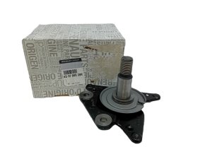 Porte-fusée Arrière Gauche Original 430190028R Renault Megane