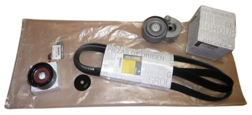 Jeu de courroies trapézoïdales 117200713R Renault Laguna II 1.9DCI Original  