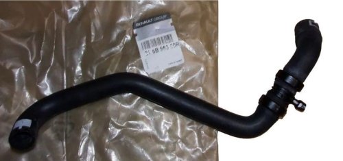 Tuyau De Radiateur 215B95350R Renault Master III 2.3DCI Original  
