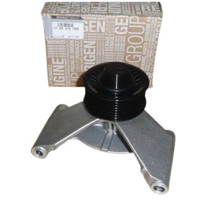 Rouleau De Guidage De Courroie Trapézoïdale 119231672R Renault Original