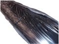 Zrzut_ekranu_2024-06-13_093001-removebg-preview.jpg