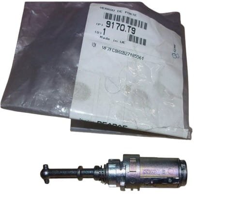Insert De Serrure 9170.T9 9170T9 Citroen C3 II Original