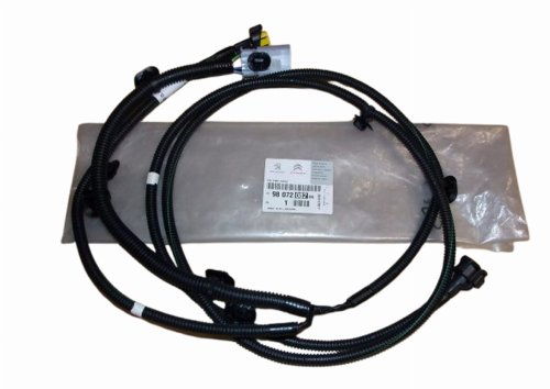 Faisceau Antibrouillard 9807208280 Citroen C4 Picasso Original