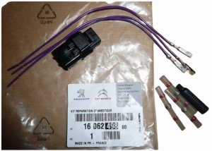 Prise avec Faisceau de Capteurs de Stationnement 1606249880 Citroen C6 Original