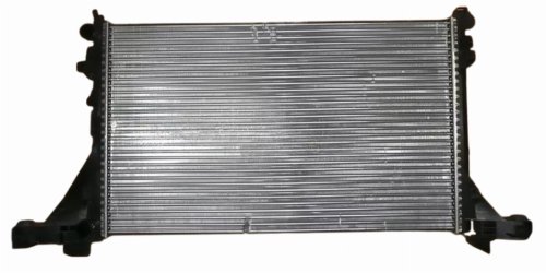 Radiateur à Eau 214101169R Renault Master III Original