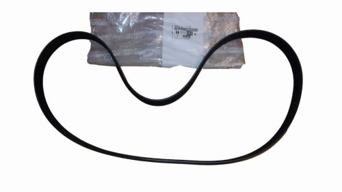 Courroie Trapézoïdale 9811109580 6PK1230 Citroen Peugeot Original