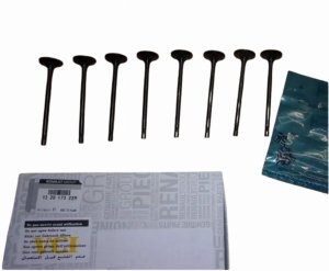 Soupapes Admission 1.2 16V 132017322R Nouvelle Original Renault Megane III