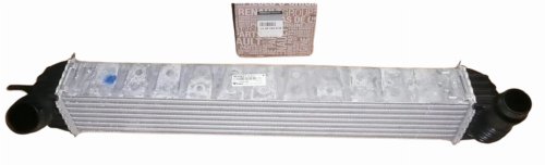 Refroidisseur d'Air 144610001N Renault Laguna III, Latitude 2.0DCI/1.5DCI Original