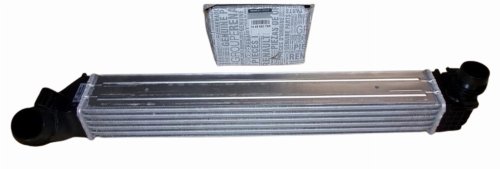 Refroidisseur d'Air 144966078R Renault Megane III 1.5DCI Original