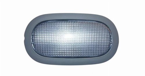 Lampe De Cabine 8200097922 Renault Trafic II Original Nouveau