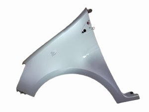 Garde-boue gauche Renault Clio 3 8200256117 Code TED69 185