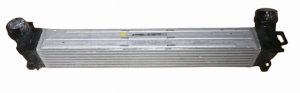 Refroidisseur d'Air 144968116R Renault Megane III 1.9DCI Original Nouveau