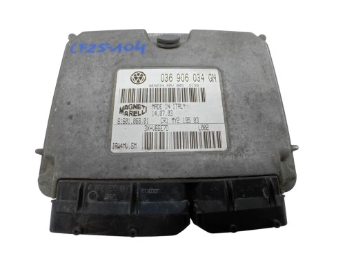 Calculateur 036906034GM  61601.068.01  IAW4MV.GM  Volkswagen, Seat, Skoda