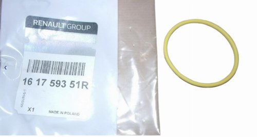 Joint de Papillon 161759351R Renault Captur II Original Neuf