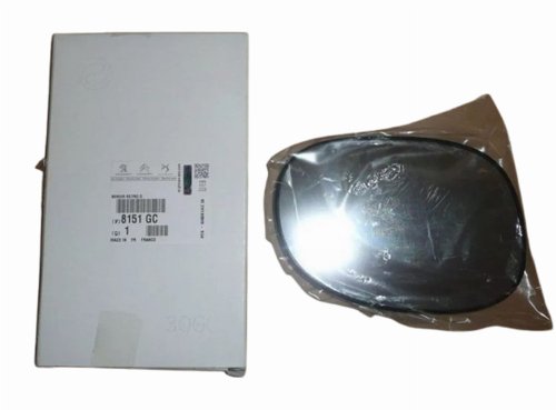 Insert de Rétroviseur 8151.GC 8151GC Citroën C2 C3 Original Neuf