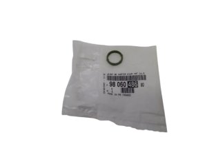 Pompe à Huile 9806048680 Peugeot Citroen Różne Modele Neuf Origine