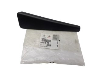 Cache de Porte Arrière Gauche 9015R5 9015.R5 Peugeot 307 Original Neuf